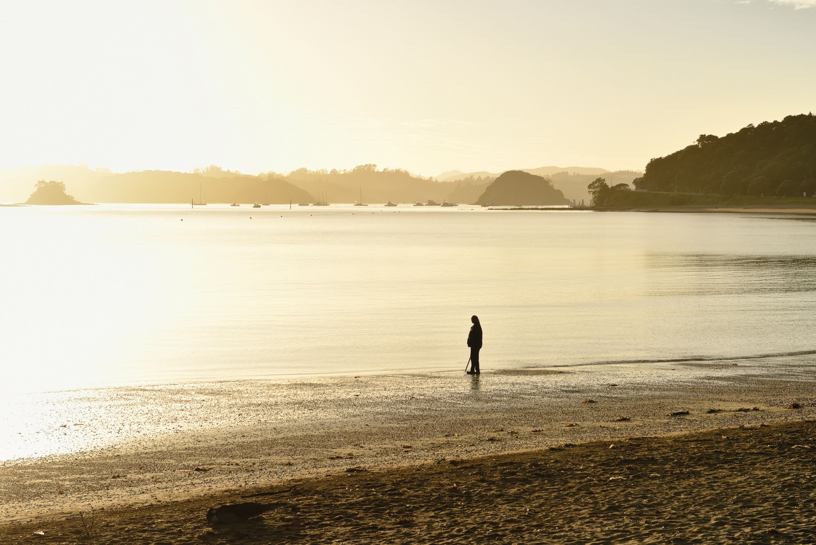 126_sovereignact_bodyimage6 After the dawn ceremony on Independence Day, a kaumatua walks along the shore at Waitangi, site of so much of the nation’s early history. Although the outcome of Ngapuhi’s Waitangi Tribunal sovereignty claim will not be known for many years, the iwi is hoping for a sea change in its relationship with the government; one that is closer to the partnership that Te Tiriti of Waitangi always envisaged.
