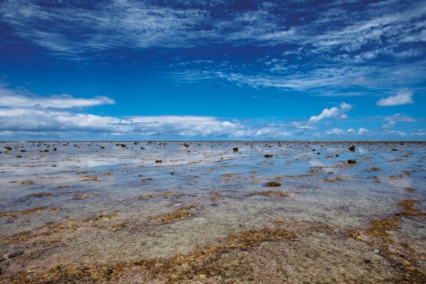 Empire of the sea - Vimarsana News