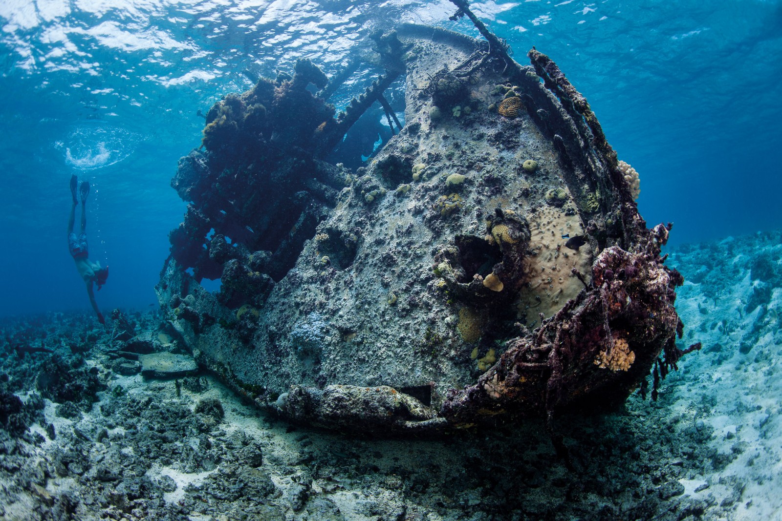 133_empireofthesea_bodyimage4