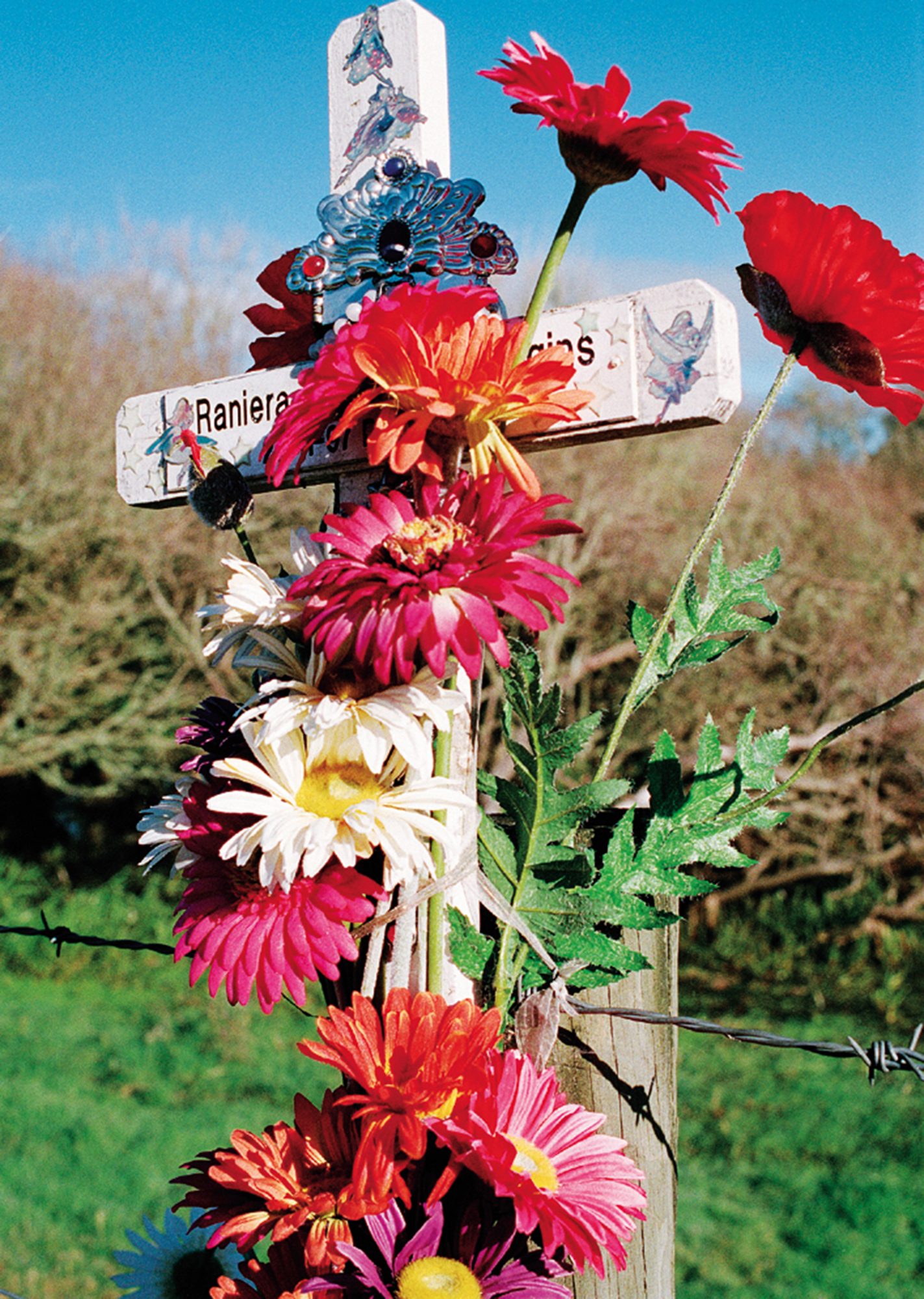 Roadside Crosses A Memorial and a Message New Zealand Geographic
