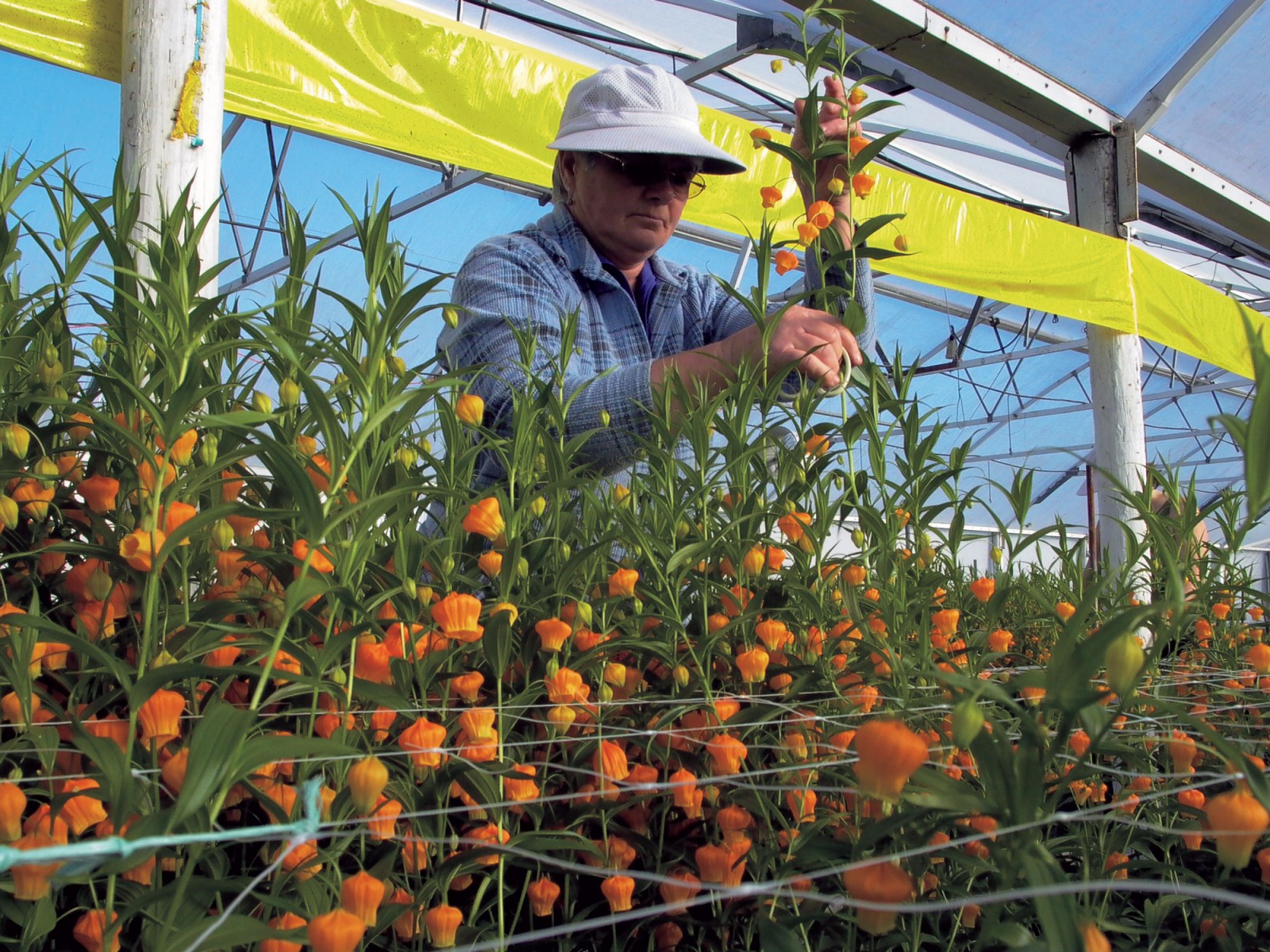 Whangarei Heads New Zealand Geographic