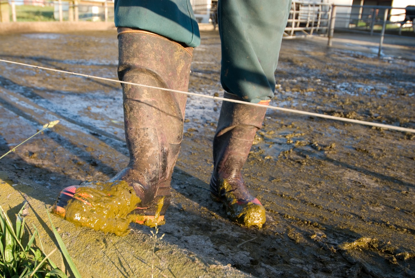 Gumboots New Zealand Geographic