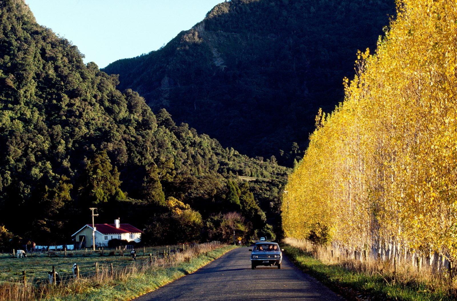 Mountains hem in human endeavour to valleys and coastal strips. Here, the Wakamarama Range overshadows the Collingwood-Farewell Spit road near Mt Burnett.