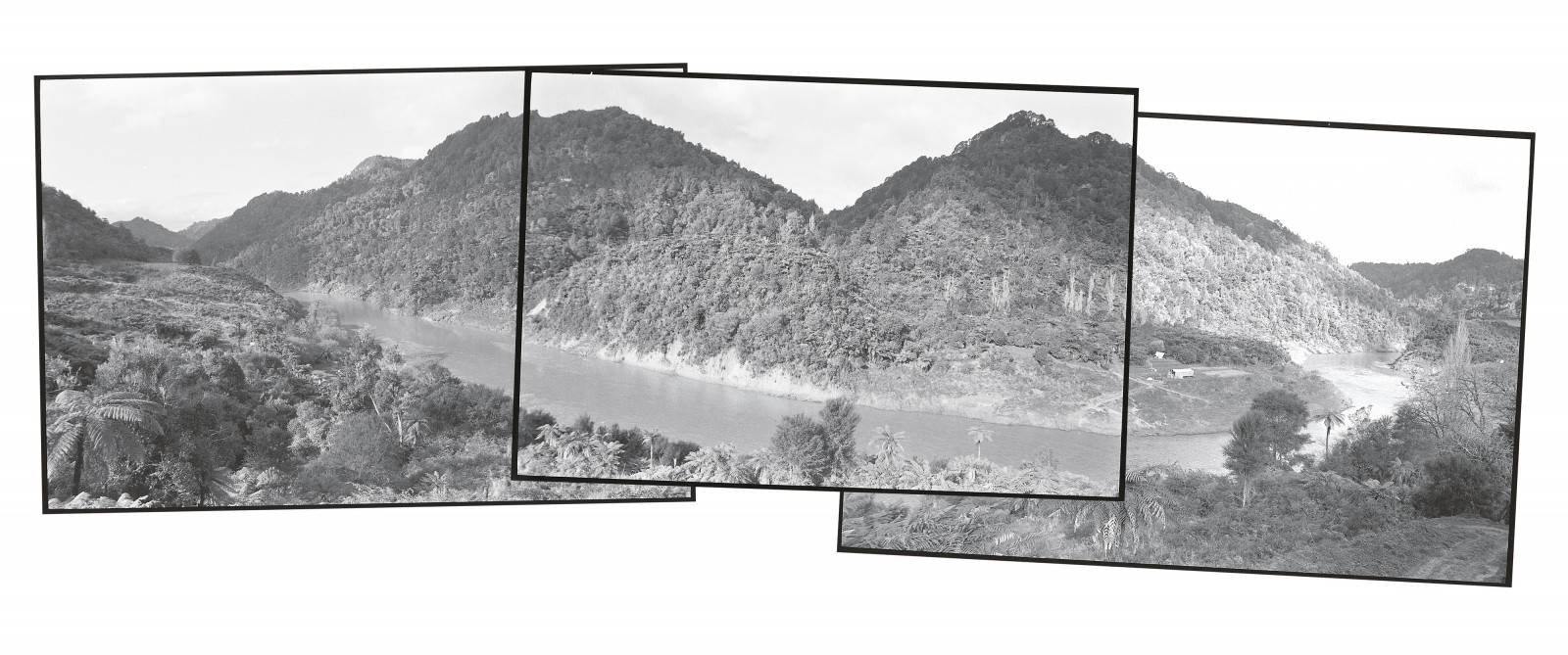 43_Tieke_Header.4.1 Tieke: a home on the river