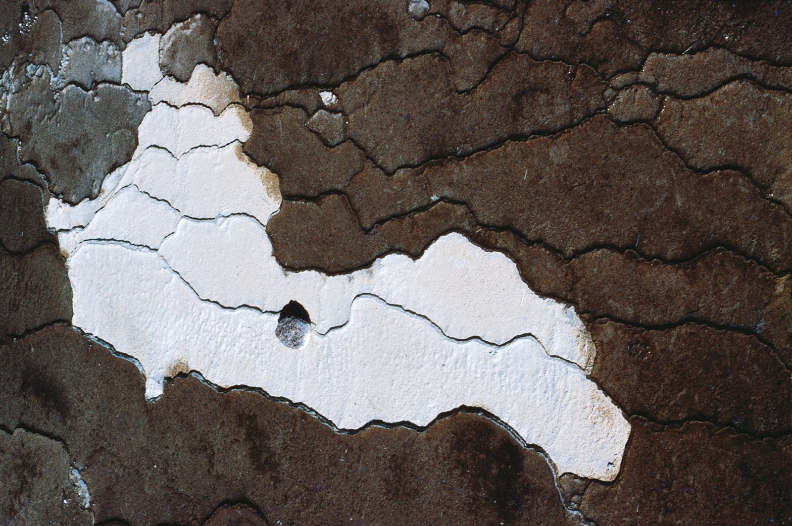 43_TouchedByFire_body10 A stone thrown casually into a sinter terrace at Waiotapu has been cemented where it fell by the silica-containing water. The white areas are dry ponds surrounded by algae-coloured, water-filled ponds.