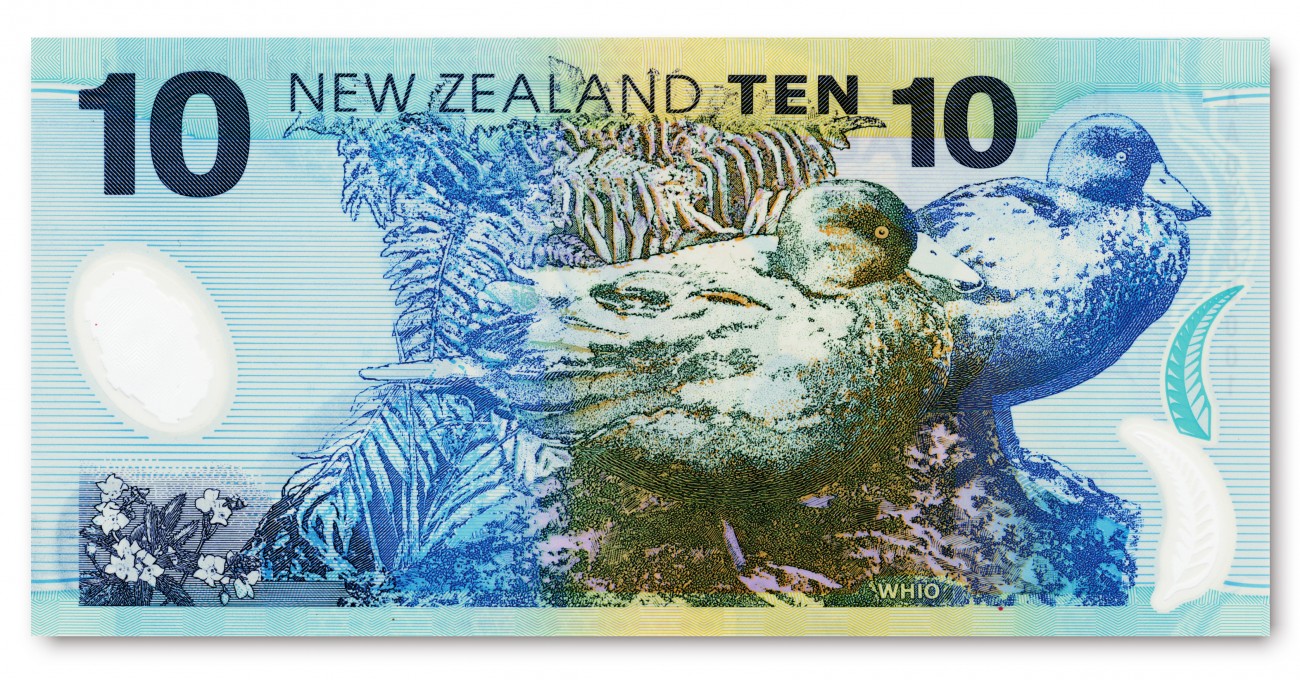 On The Money New Zealand Geographic