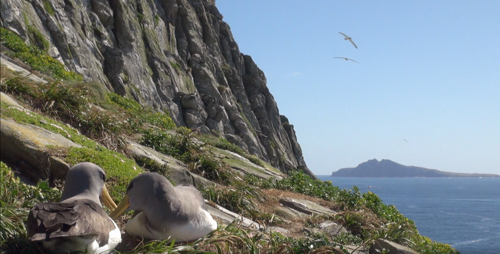 Chatham Islands New Zealand Geographic