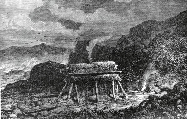 167_Shipwrecks_07