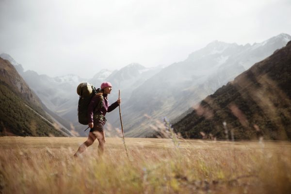 Journey into the interior - Vimarsana News