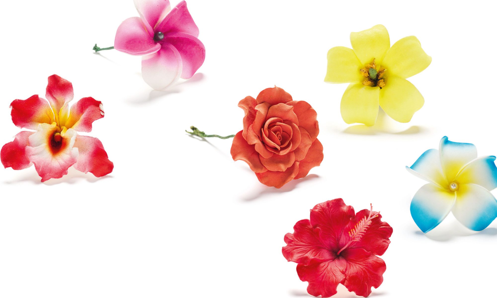 The forever flowers New Zealand Geographic